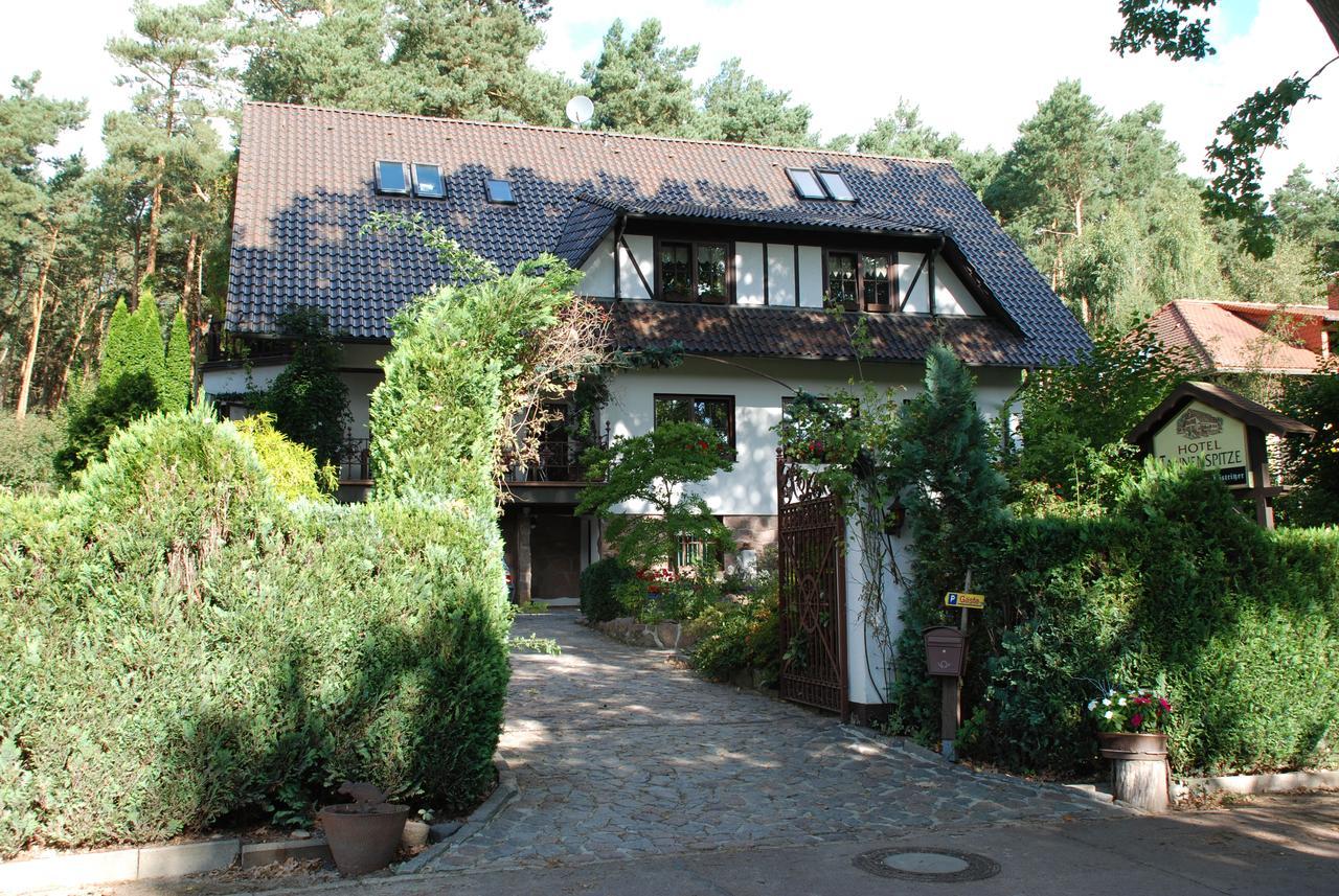 Pension Tannenspitze Wittenberg Екстериор снимка