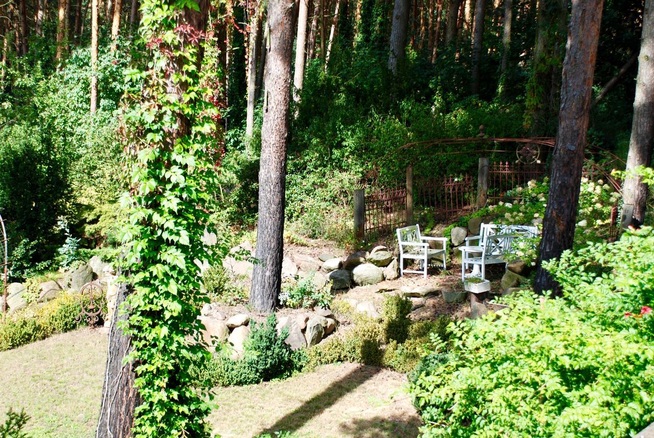 Pension Tannenspitze Wittenberg Екстериор снимка